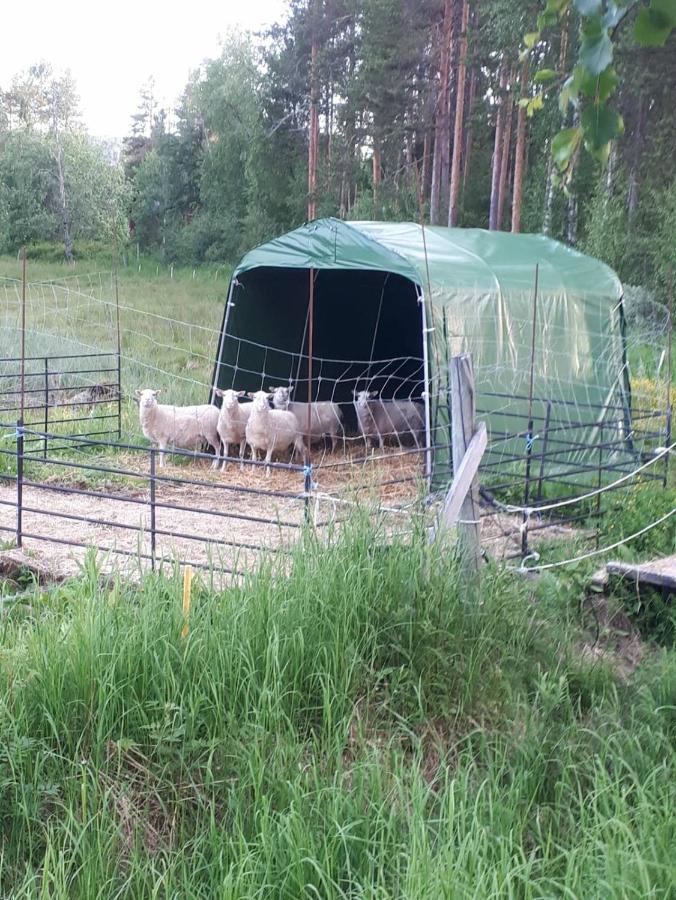 Skabram Bed&Breakfast Jokkmokk Eksteriør billede